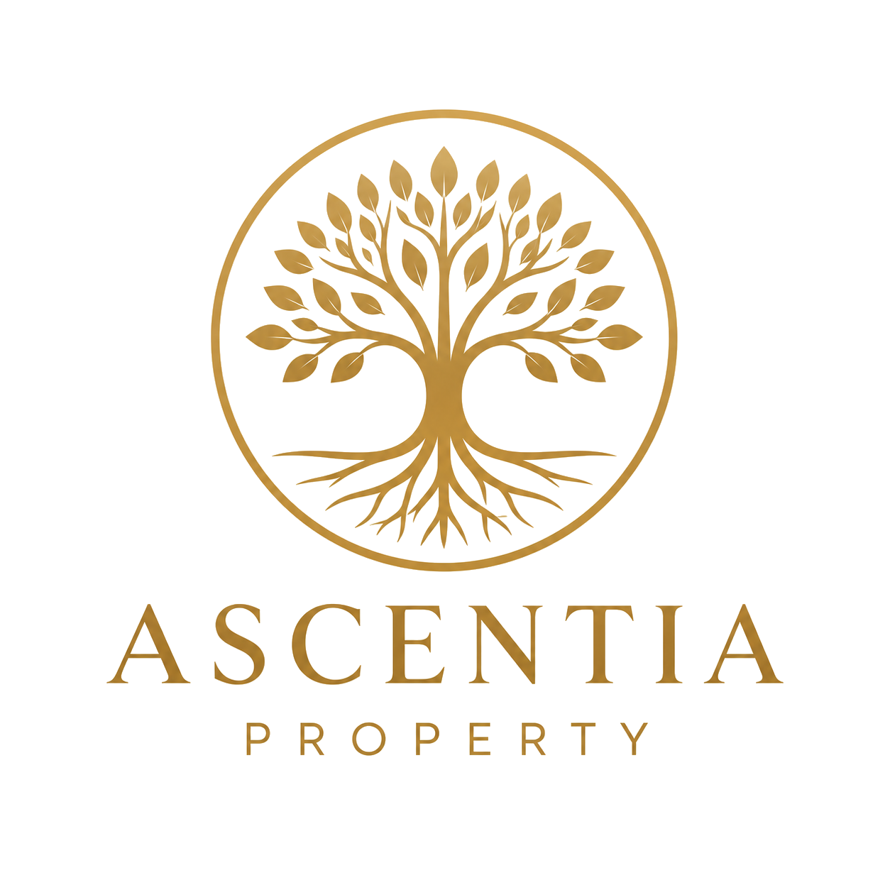 Ascentia Property